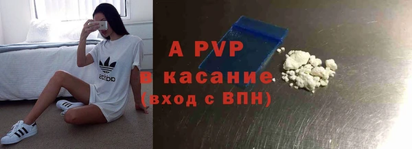 индика Липки