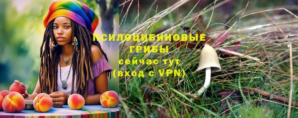 индика Липки