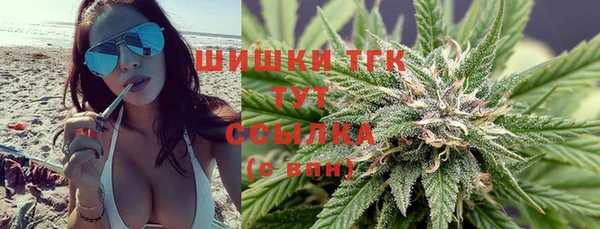 индика Липки